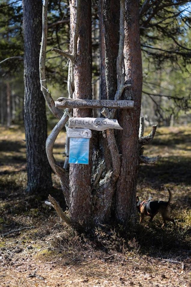 Nordic Lapland Frevisoeren Ξενοδοχείο Båtskärsnäs Εξωτερικό φωτογραφία