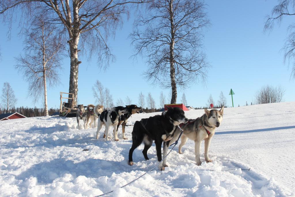 Nordic Lapland Frevisoeren Ξενοδοχείο Båtskärsnäs Εξωτερικό φωτογραφία